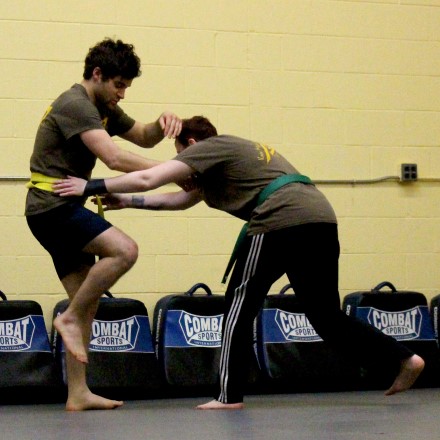 Krav Maga Somerville or MMA (Mixed Martial Arts)?